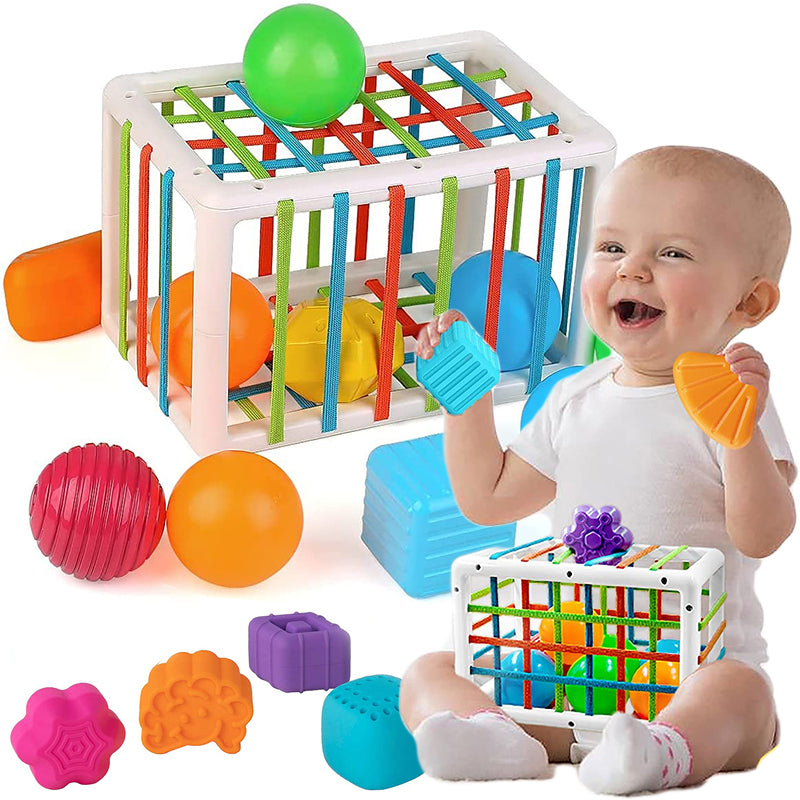 Montessori Toy Cage