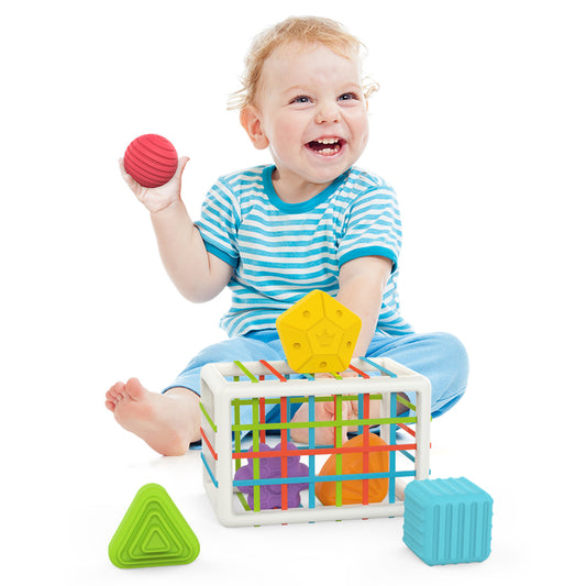 Montessori Toy Cage